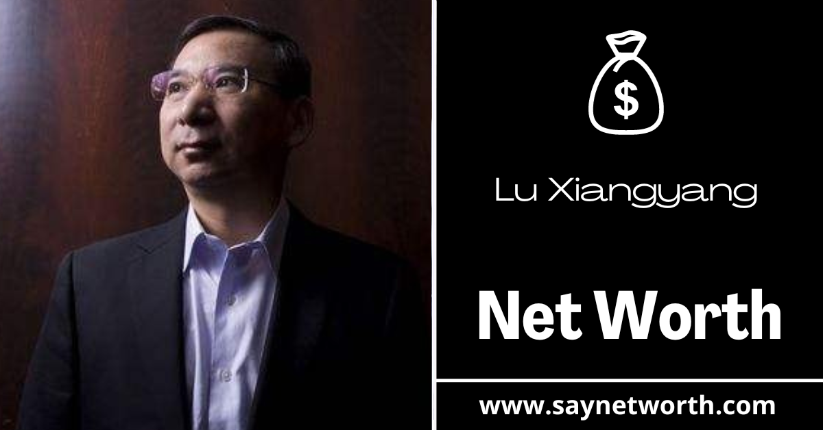 Lu Xiangyang net worth